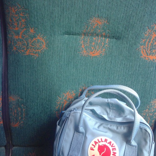 urbanseaside:  stockholm has cactus bus seats?!