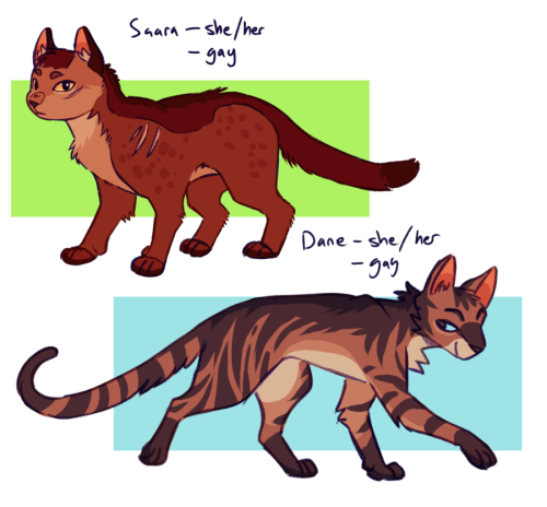 kaereth:  my ocs as gay lil kitty cats