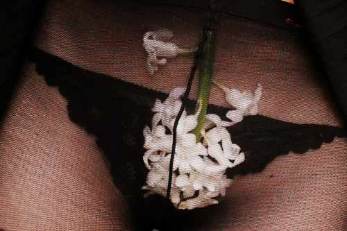 http://tights-details.tumblr.com/post/141953215138