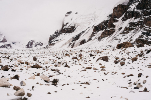 A summer snowstorm. The hour of gold turned white.Kyrgyzstan