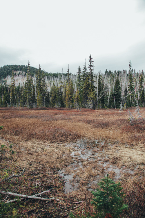 Three-Fingered Jack