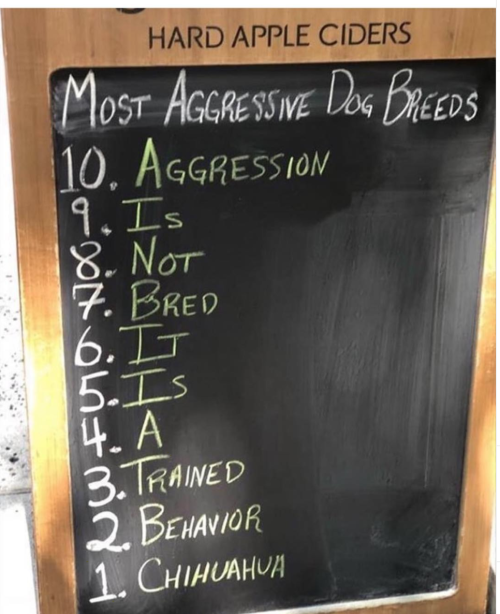 theanimalmemes:  No aggressive dogs just