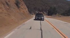 devilg35:  On the prowl. 