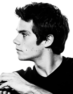 sterek:  dylan o’brien at the panel for