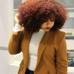 afro-arts: Kinky Curly Yaki  kinkycurlyyaki.com