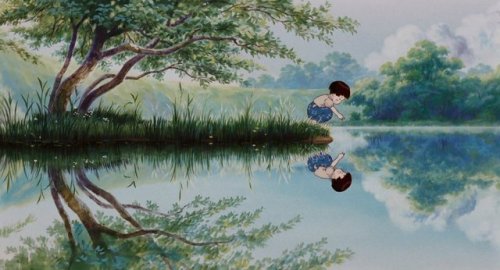 susuwatori:Grave of the Fireflies