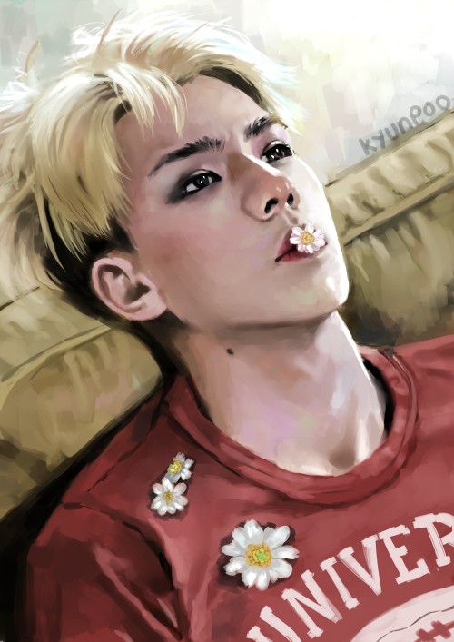 kyunpoo:  Daisies. 
