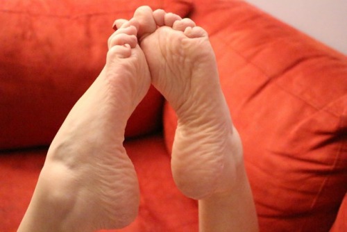 perfectarcheswife:My wife’s arches. 
