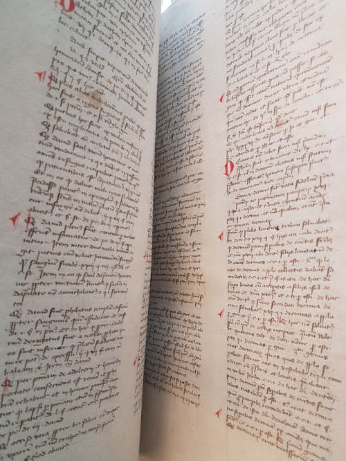 Ms. Codex 1222 -  Compendium iuris canonici Are there any law students? This is an alphabetical