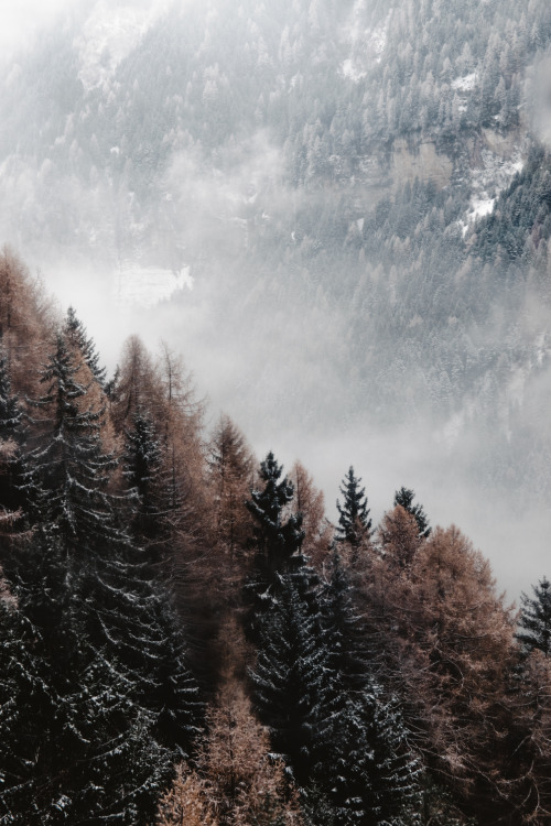 martacorss: chasing fog (marta cors) instagram | prints | 500px