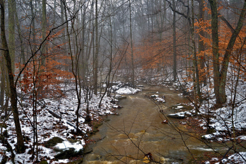 Cold and Wet December 14 2013 by DonKevinBrown on Flickr.
