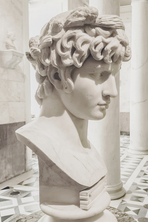 Portrait of Antinous as Dionysius State Hermitage Museum and Winter Palace, Saint Petersburg - Russi