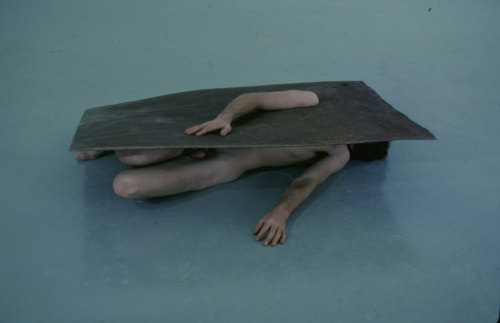 poeticasvisuais:  Charles Ray 
