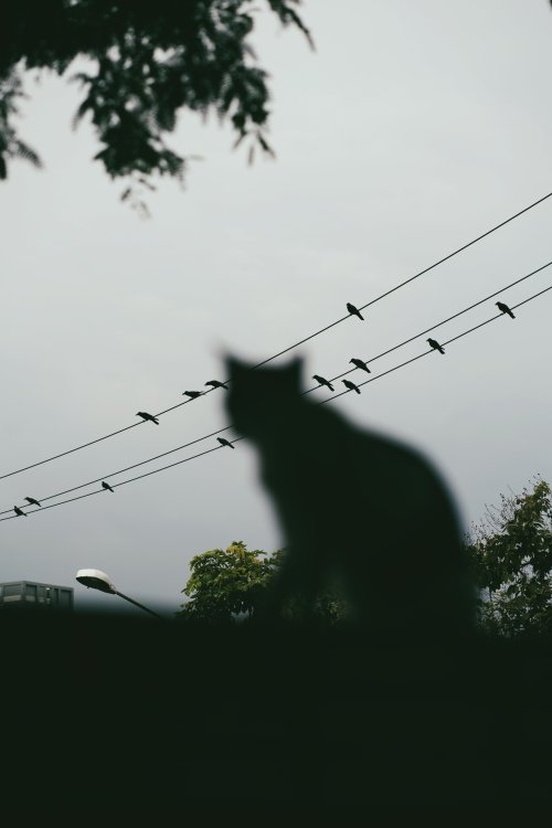Sittichai Maikupandin Aka Sitti Maiku (Thai, B. Bangkok, Thailand) - Ordinary Place Series, Photography