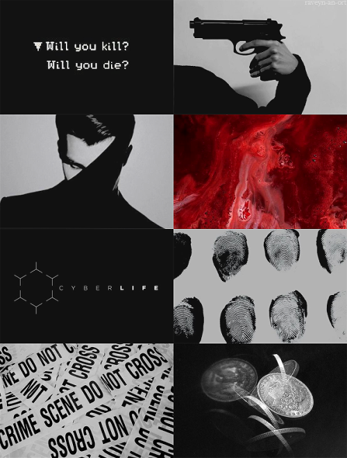  Aesthetics: Connor RK800 & Hank Anderson (Detroit: Become Human)