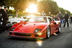 automotivated:  F40 (by Bernardo Macouzet Photography)