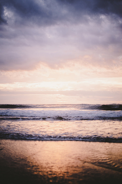 floralls:  New Zealand by DeepLovePhotography   