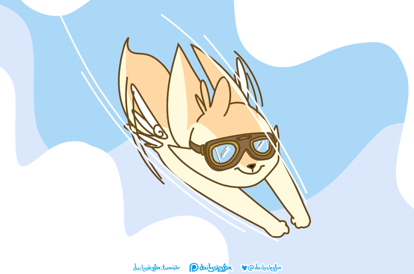 dailyskyfox: It’s Friday! And Finny is enjoying his favorite hobby!  Flying really