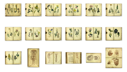 michaelmoonsbookshop:The British Herbal and family physician to which is added a dispensatory for th