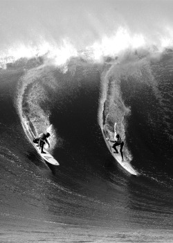 surfzing:  Twiggy and the Fox, surfing Mavericks ph Ian Boyle