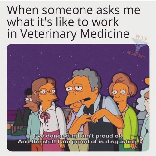 #vetgirl #vetgirlontherun #veterinarian #vet #vetmed #veterinarian #vettech #vetstudent #vetnurse #v