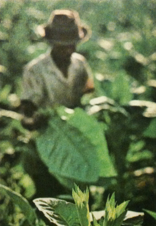 equatorjournal: república dominicana, 1977