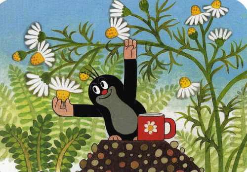 historia-polski:Dobranocka - children’s cartoons which aired in the People’s Republic of Poland:Bole