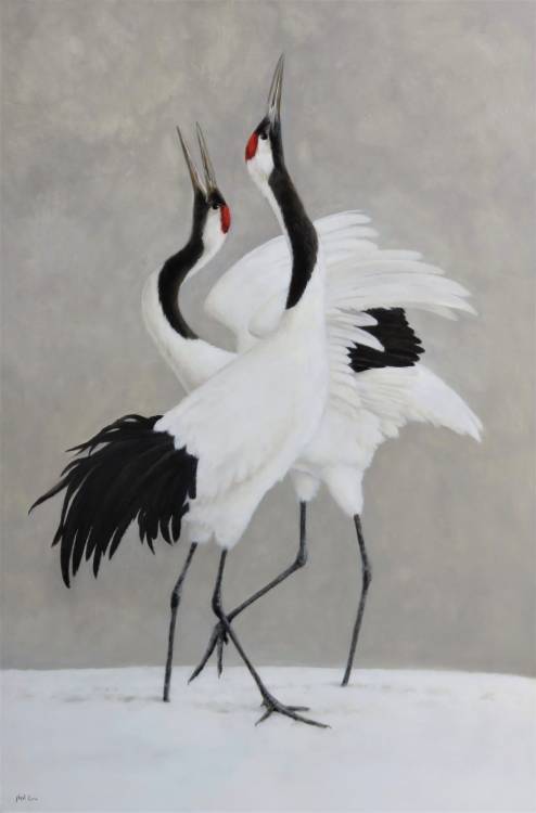 Neil Cox (b.1955) - The Dance - Red Crowned Cranes. Oil on panel.