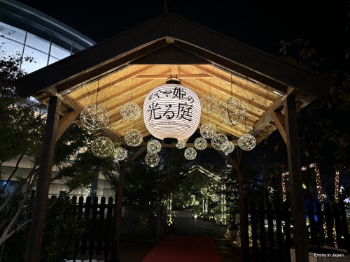 Princess Kaguya's Glowing Garden In Sakuramachi Kumamoto (かぐや姫の光る庭)