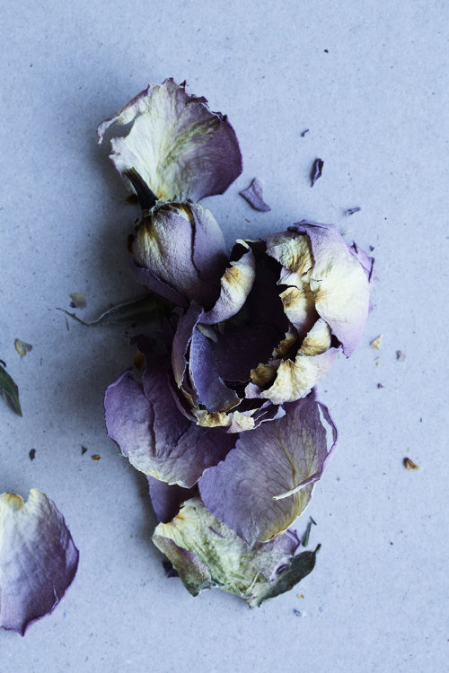 artpropelled:Line Klein Studio