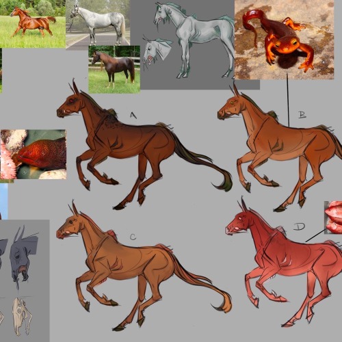 Some Sketches And Explorations From My Concept Project Based On The Scorpio Races! Id Love To Come Back