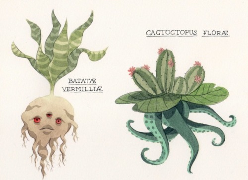 carolrossettidesign: Some imaginary plants I’m working on! What do you think?