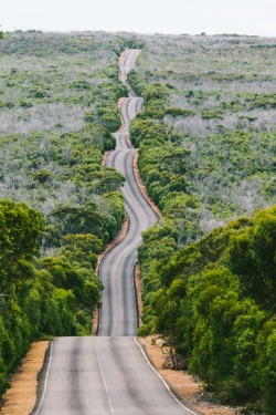 johoarbo:Motorbike heaven