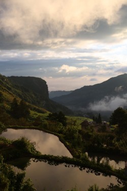 rice terraces in yunnan province