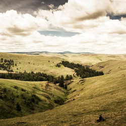 snapshotsfrombeauty:  Oregon (by The Paul