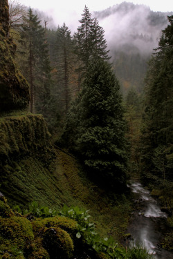 eartheld:  anotic:  Tunnel View, Oregon 