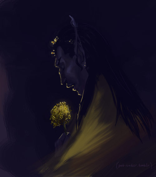 dunmer-dovahkiin: llerynserathis:100 Art Prompts | 013. Yellow Gold kanet flowers, always so bright,