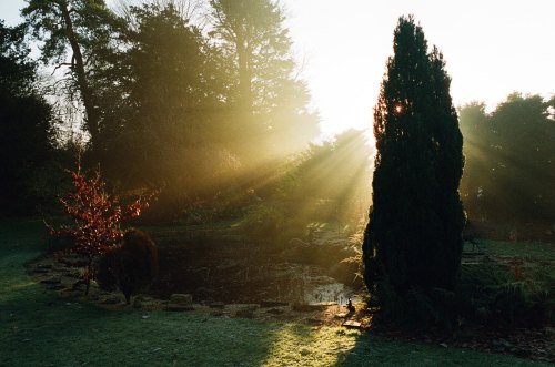 alifeingrain: Gloucestershire - December 2019Pentax K1000 on Lomography 800