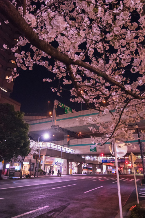 Chuo - Tokyo, Japan