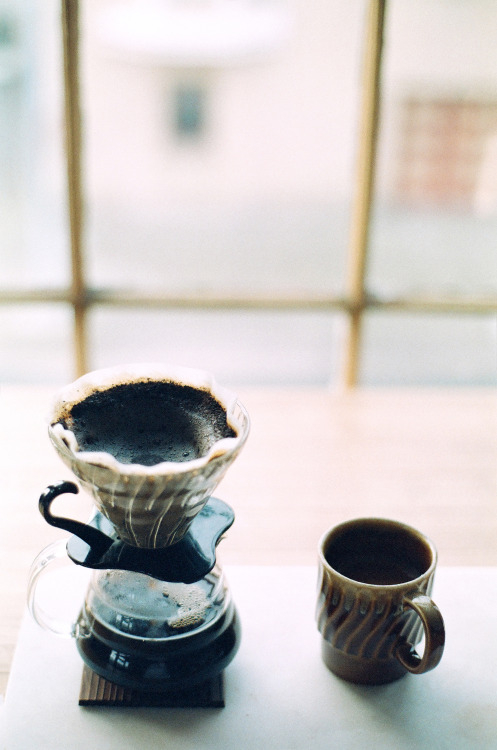 365daysofcoffee:Contax Aria | Agfa Vista adult photos