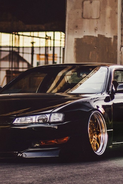 topulence:  aggressive s14 adult photos