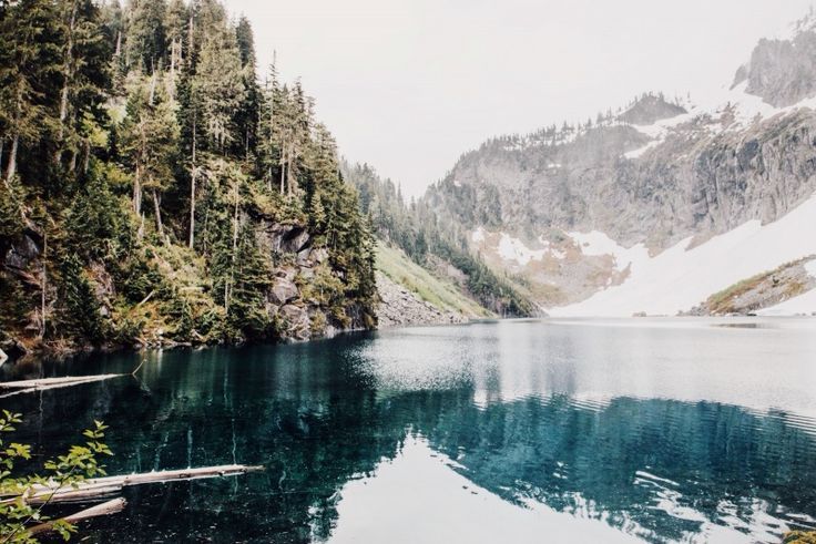 danielodowd:  Griffin Lamb 