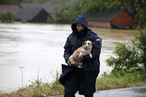 societates: stilettosandbrokenbottlesss: Dear World, Serbia has been hit by catastrophic floods. The