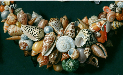 Jan van Kessel the Elder (Antwerp 1626-1679 Antwerp)Festoon, masks and rosettes made of shells- pa