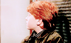 harrypottergif:  Harry Potter meme  [10] Characters - Ronald Weasley  