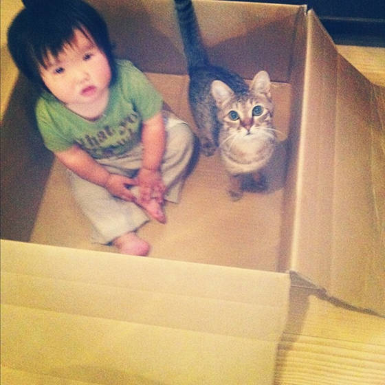 zambiunicorn:  sasaq:  Toco The Cat And His Human: Growing Up Together  I cried 