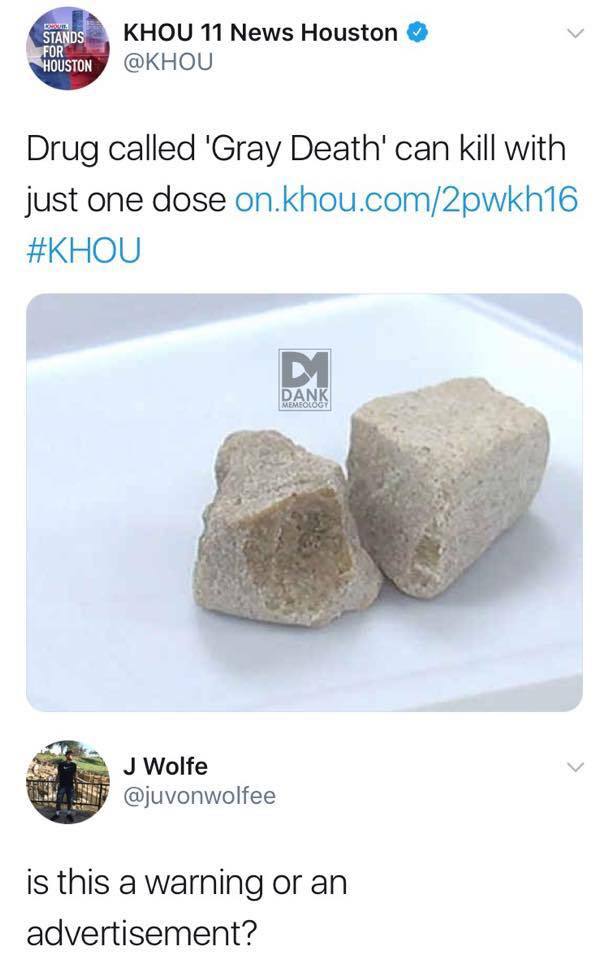 Dank Meme University