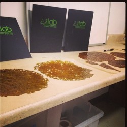 weedmaps:  Slabs R Us at @theclinicmmc @thelabdab #shatterday
