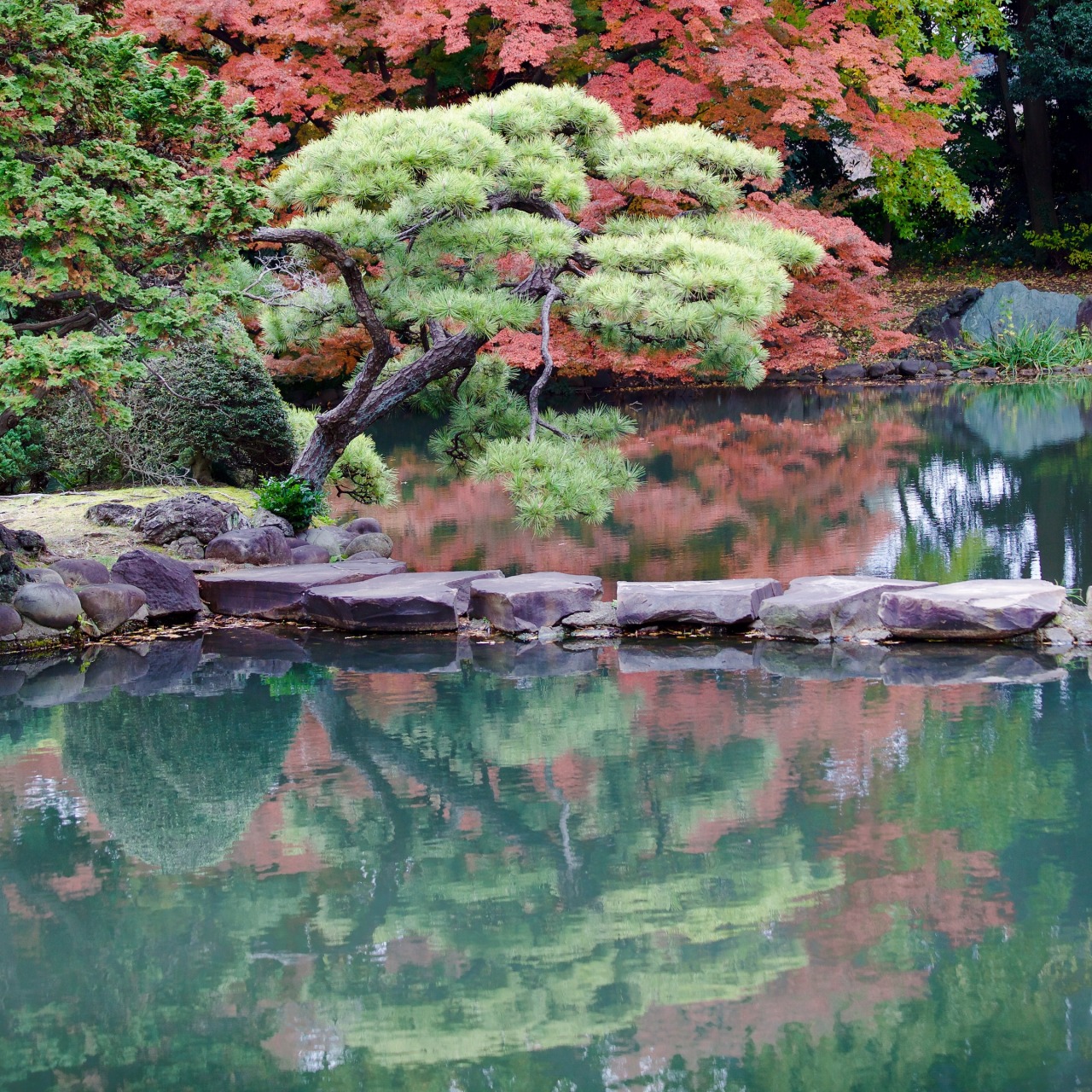 <p><b>Water Color Extreme.</b></p><p>Taken on a photo-walk in Shinjuku Gyoen (Gardens) in 2015.</p>