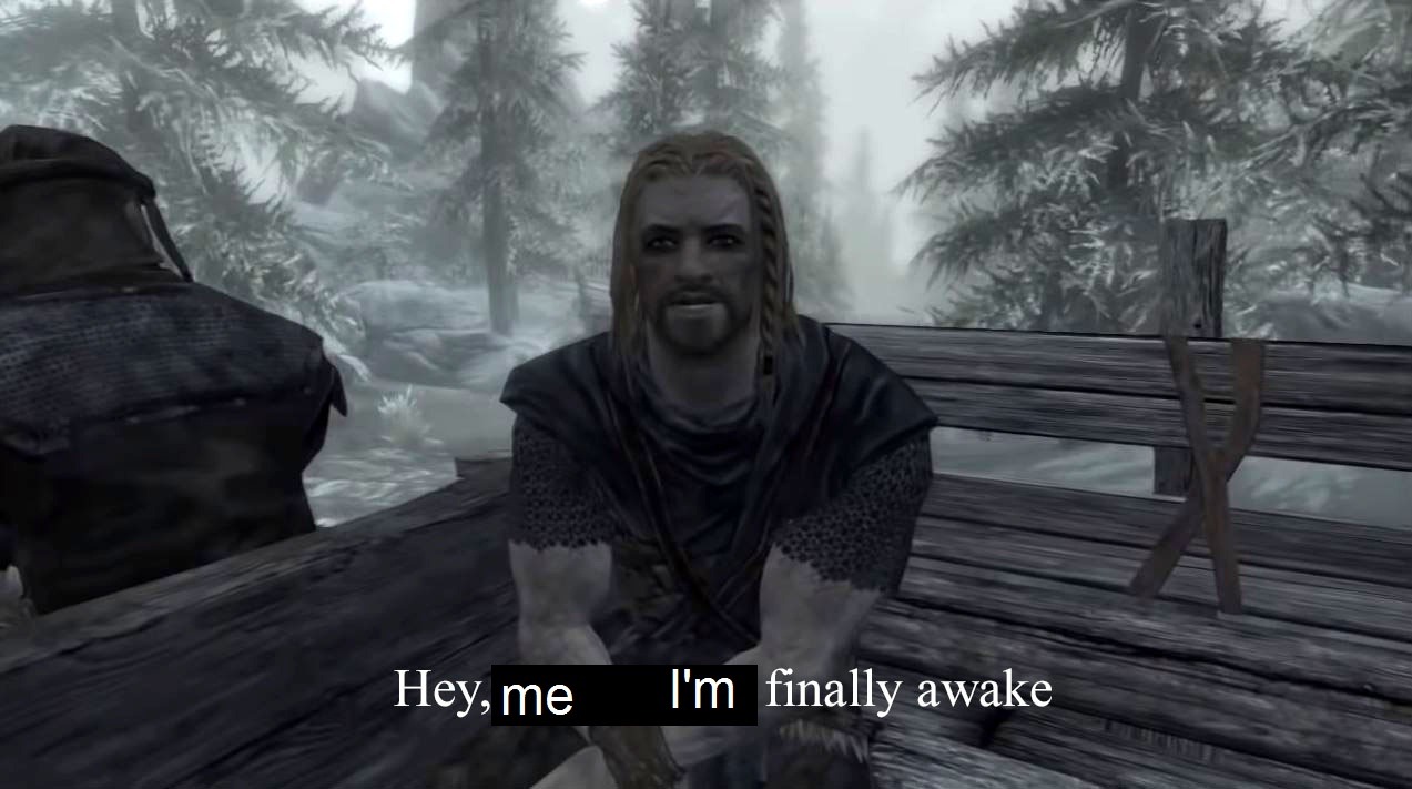 gaygaara:eating-rocks:I&rsquo;m replaying skyrim and I always forget the the